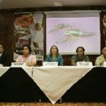 Tarifas eléctricas sólo representan hasta el 10% del costo de producción de las empresas