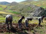 Se dispuso que la Dirección de Competitividad Agraria deberá emitir opinión técnica sobre servidumbre de tierras para minería