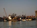 Alrededor de seis empresas están interesadas en operar fajas móviles para minerales en puerto del Callao
